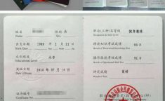 女足亚洲杯教练考证资格认证要求