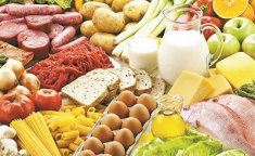 欧冠饮食营养球员高蛋白食谱增强耐力