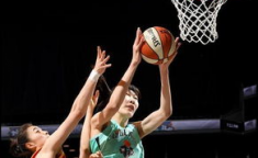 WNBA场地租赁国内场馆预订攻略