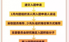 NBA裁判考证流程要求详解