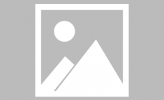 拉文公牛扣篮三分全能数据