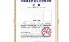 NBA教练考证资格认证条件