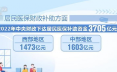 电竞 医疗选手健康保障体系构建